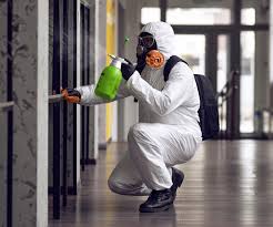 Biohazard Mold Removal in Brush Prairie, WA